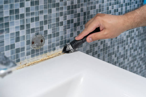 Best Same-Day Mold Removal  in Hahnville, LA